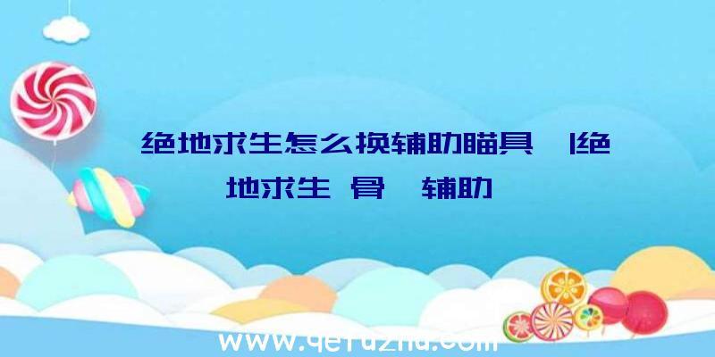 「绝地求生怎么换辅助瞄具」|绝地求生